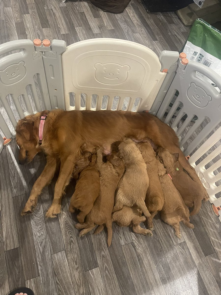 Ben Cornthwaite tweet media