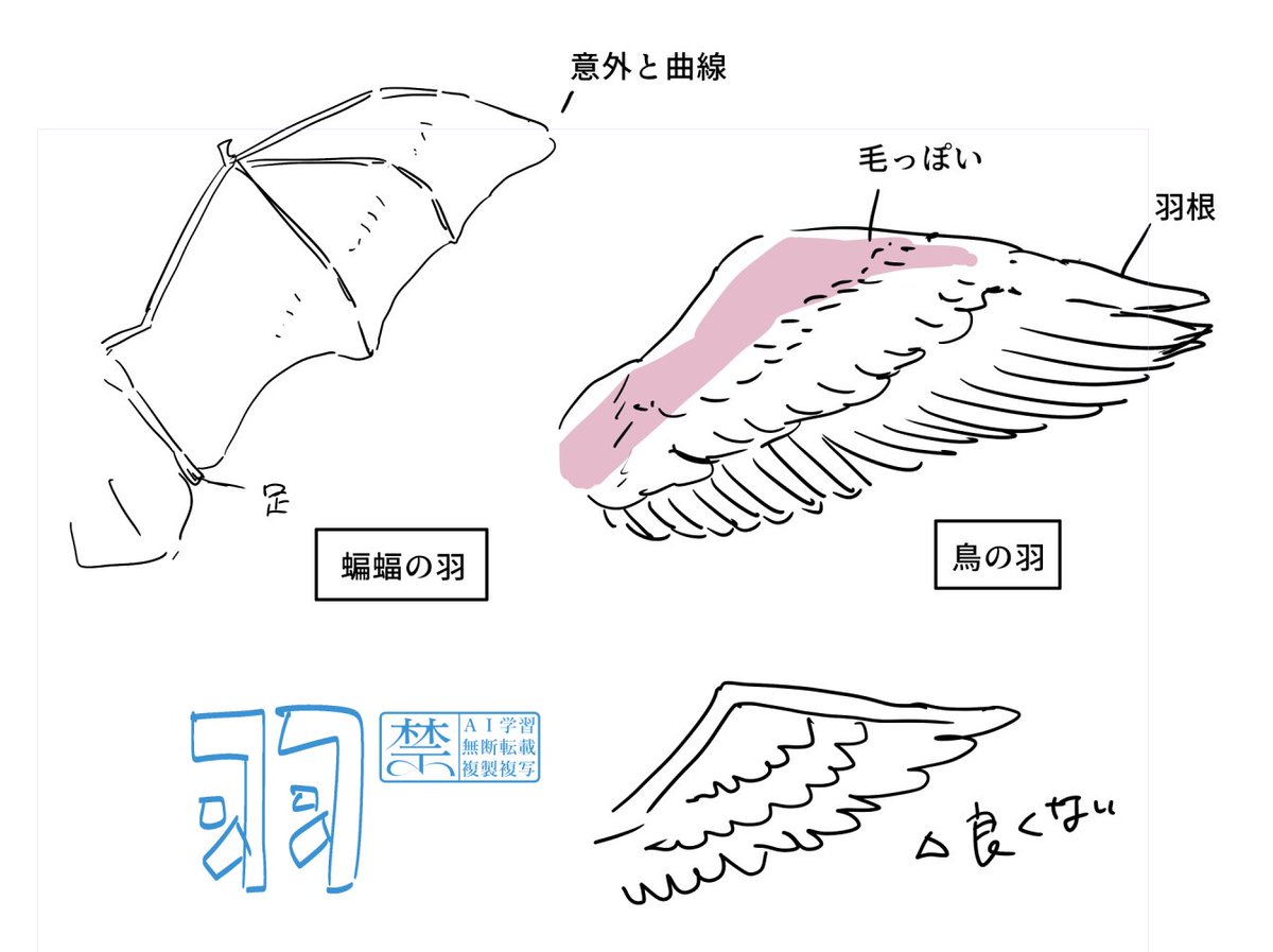 羽 
