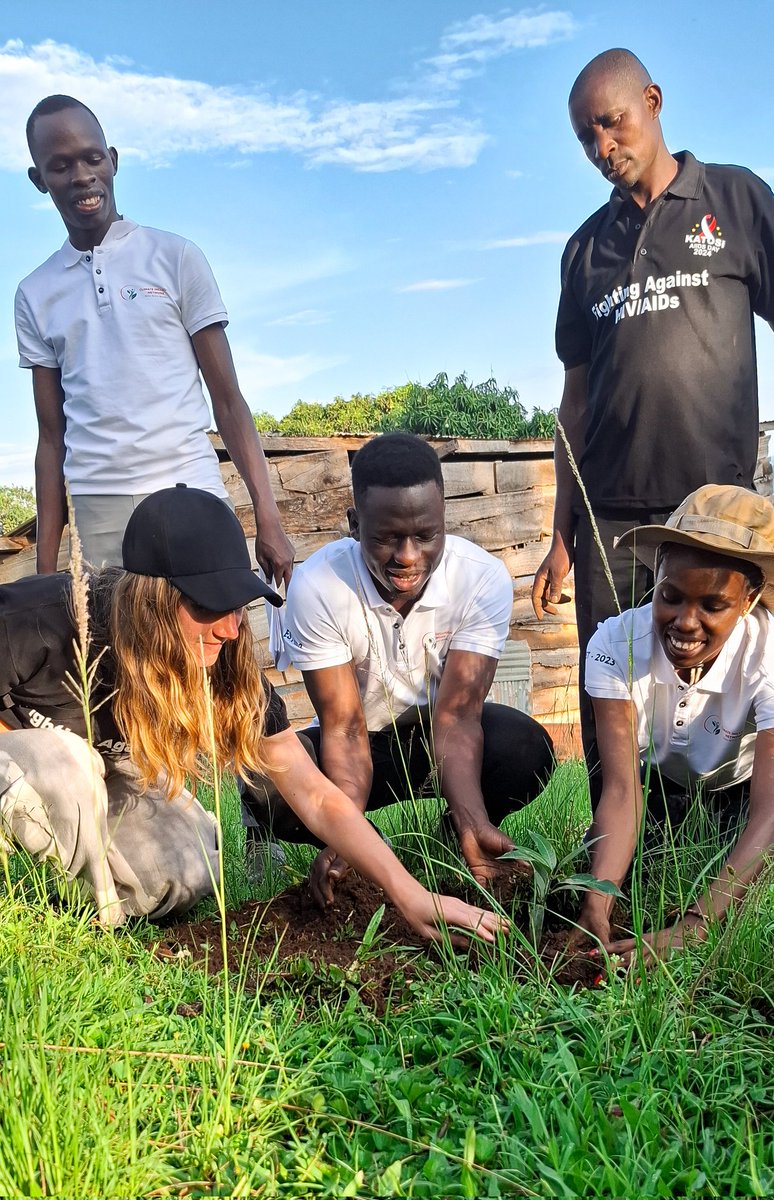 CLIMATEINCLUS's tweet photo. Our new month kicked off with the  celebration of world AIDS Day in Katosi primary school  &amp; what better way to climax any event than to give back to society. 100 trees were planted.🌲🌲🌲🌲
🎗️ You and I can mitigate climate change by planting one tree at a time 🌲🤝🌍 https://t.co/nzEVxqHywO