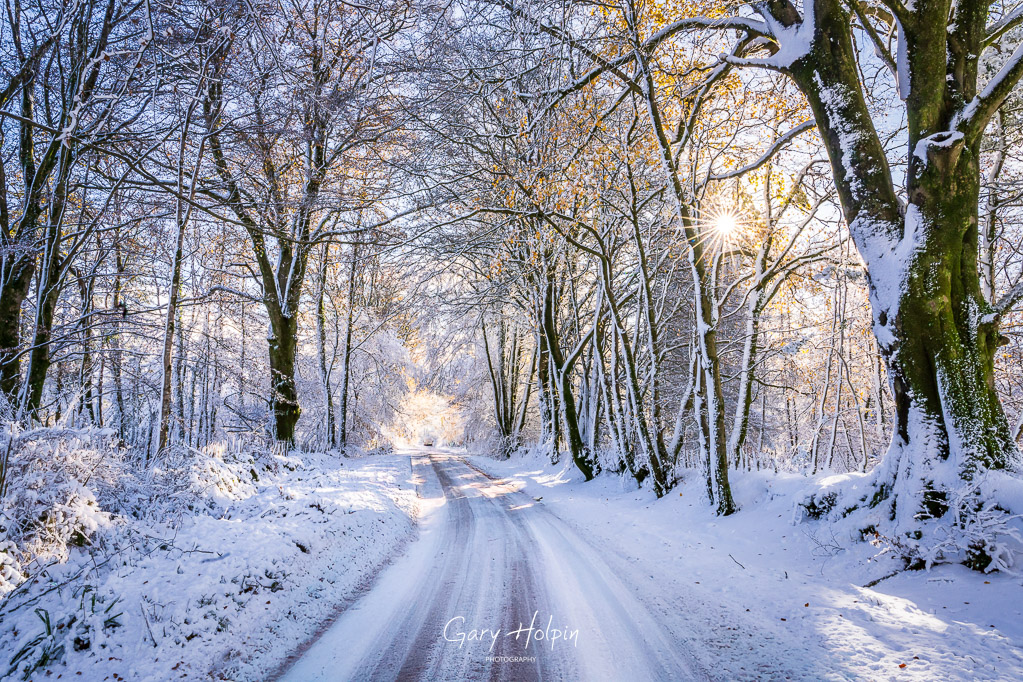 Gary Holpin | Photography tweet media