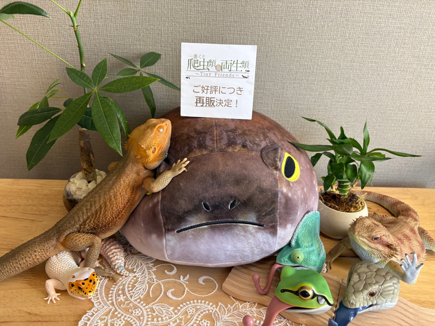 一番くじ（BANDAI SPIRITS） on X: 