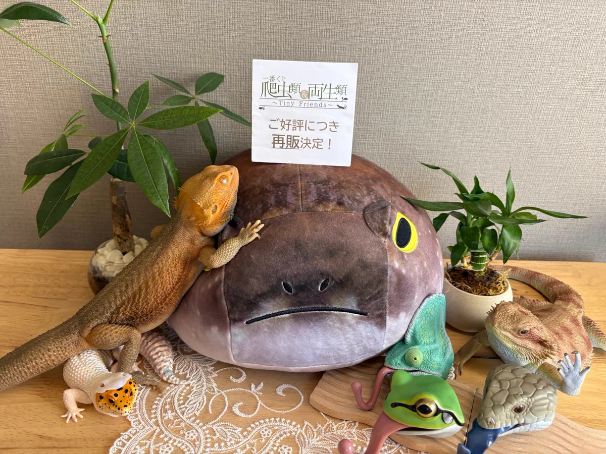 一番くじ（BANDAI SPIRITS） on X: 