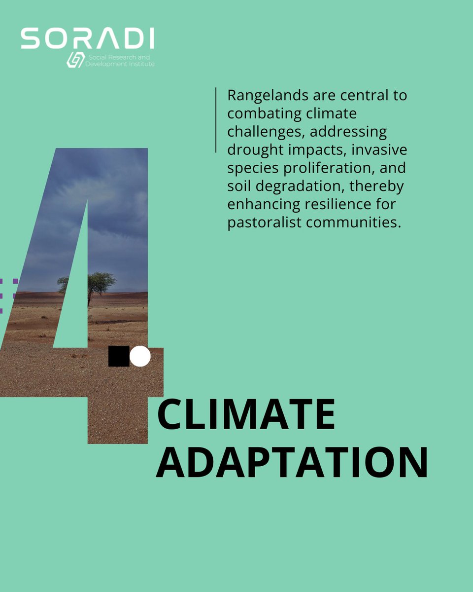 Rangelands in Somaliland are vital for communities battling climate change.

Discover key insights from our latest paper, 'Rangeland Management Practices in Somaliland' by <a href="/aiawaleh/">Ahmed Ibrahim Awale</a> .🌱

Explore more at soradi.org.

#ClimateAction #RangelandRestoration #SORADI