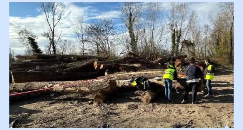 pleporace's tweet photo. Piango Mariano Martinucci, l’operaio di 48 anni travolto da un tronco caduto da una catasta mentre stava effettuando operazioni di taglio a San Giorgio in Brenta.  Era al primo giorno di cantiere in provincia di Padova per una ditta toscana. 
Si muore così lontano da casa https://t.co/iabUrY8nfQ