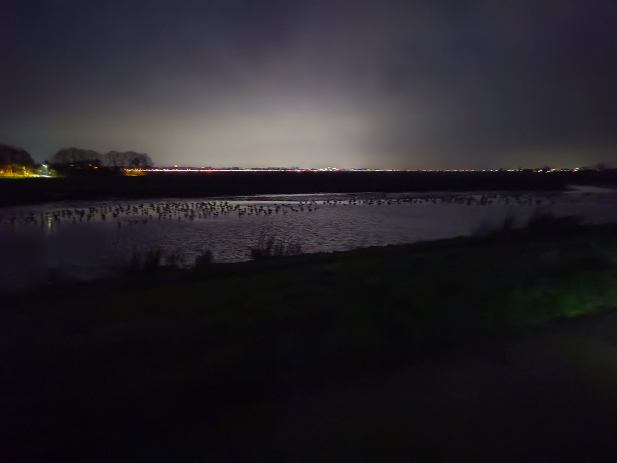 Nic⭕ van Harten tweet media