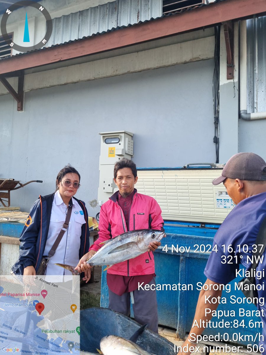 Jean_Voin_'s tweet photo. Kamis (04/11), Jean Voin Pattikawa,S.Pi, luhkan kota Sorong mendata produksi hasil tangkap bpk. La Eru nelayan kel. Soop,Kec. Sorong Kepulauan,  ikan Tuna (yellowfin) sebanyak 87kg  dengan harga jual Rp.40.000/Kg
#GiatLuhkanSatminkalAmbon
#produksi https://t.co/9yc2BYe4qb