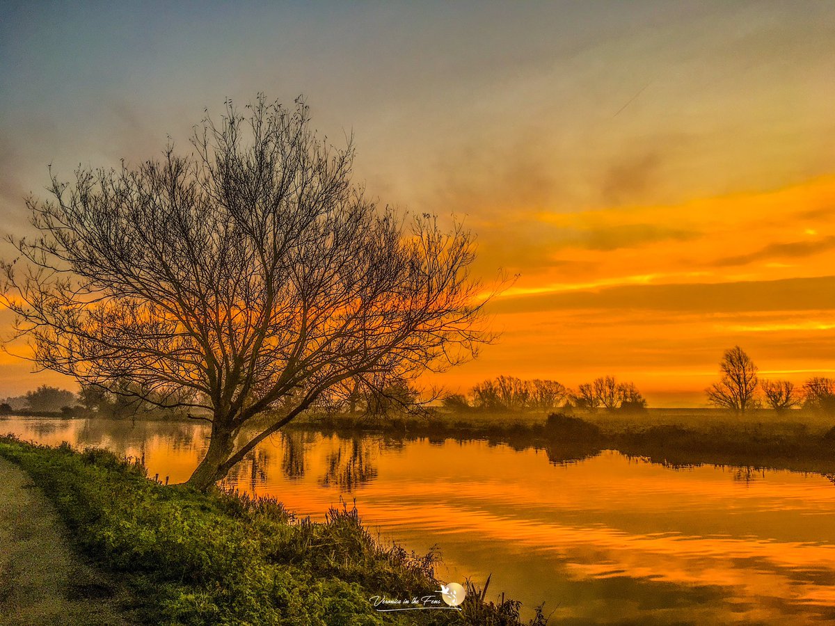VeronicaJoPo's tweet photo. A dive back to 2019 to see the Sunrise on this day the 5th of December 😍
Ely, Cambridgeshire 
#sunrise #LovEly #TheFens #MorningWalks #naturephotography https://t.co/vhj8EwhT7a