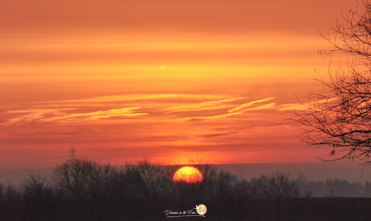 VeronicaJoPo's tweet photo. A dive back to 2019 to see the Sunrise on this day the 5th of December 😍
Ely, Cambridgeshire 
#sunrise #LovEly #TheFens #MorningWalks #naturephotography https://t.co/vhj8EwhT7a