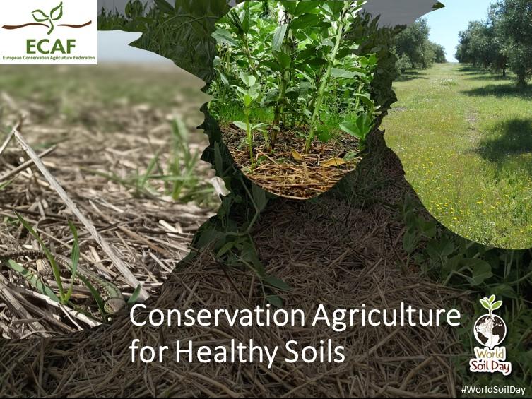 Geraghty_Notill's tweet image. #WorldSoilDay2024
Adopting the principles of #ConservationAgriculture maintains and improves soil health, which provides multiple benefits and key ecosystem services to ensure the sustainability of agroecosystems.
@agriculture_ie @BaseIreland @NatOrgSkill @SETUAgriculture