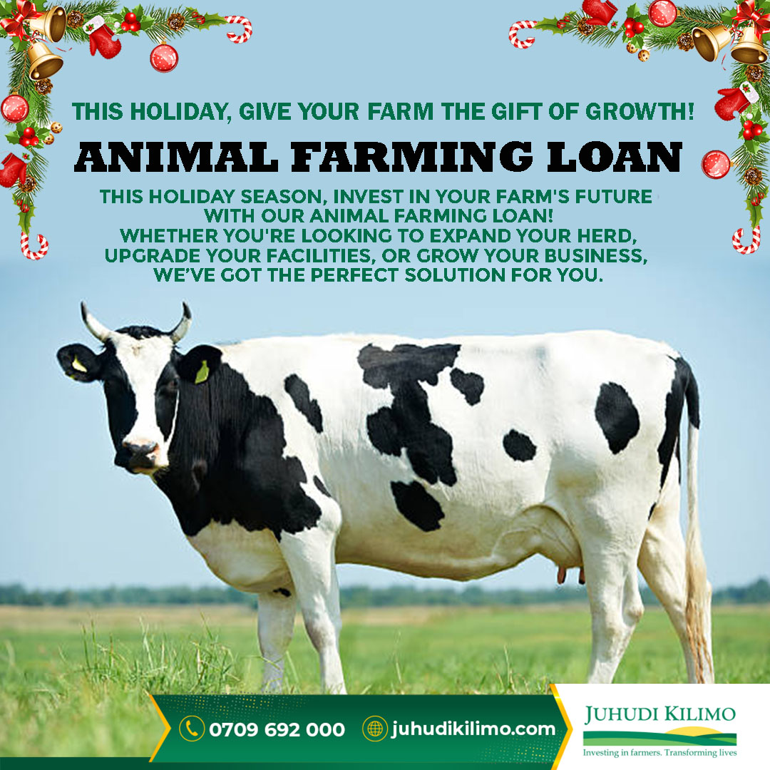 This Holiday Season, Give Your Farm the Gift of Growth! 
Are you ready to expand your animal farming operations this holiday season? Now is the perfect time to invest in your farm and make it more profitable with our Animal Farming Loan.

#AnimalFarming #juhudikilimo