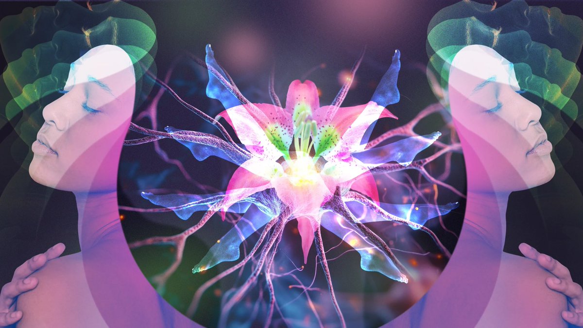 What #chemistry lies behind the many sensations of #pleasure? A #science that makes us all different and #equally entitled to pleasant feelings. As we wish 
I write about it here, scientifically 

🇬🇧 mangrovia.info/en/art-experie…