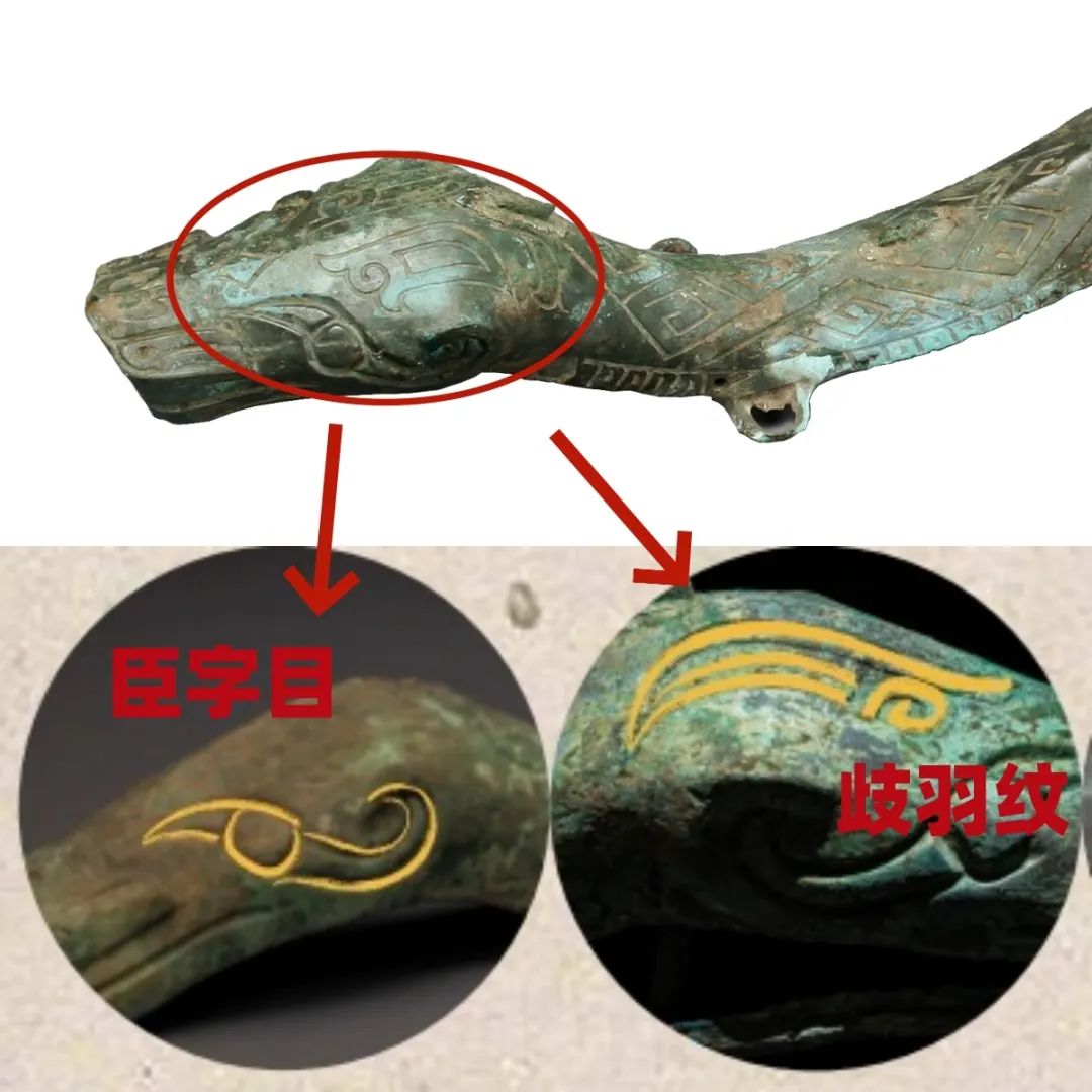 MuseumsChina's tweet photo. 🐍Si Shengsheng (巳升升), the 2025 Spring Festival Gala official mascot, was unveiled by China Media Group on Monday, two days before Chinese #SpringFestival was officially added to UNESCO’s Representative List of the Intangible Cultural Heritage of Humanity.🎉

The mascot is an adorable little #snake inspired by ancient cultural elements. Notably, its eyes and eyebrows draw inspiration from a 3,000-year-old bronze snake unearthed at the Sanxingdui site. The snake artifact, believed to have been a sacred object of the ancient Shu people, is now housed at the #Sanxingdui Museum. #MuseumTreasures #ArtifactInspiration