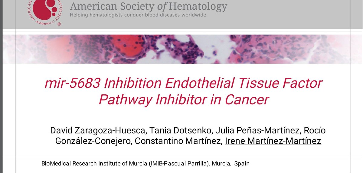 crh_MoralesIMIB's tweet photo. Irene Martinez @Ireneimmlgi de nuestro grupo invitada a participar en el Friday Scientific Workshop del Congreso Americano de Hematología #ASH24  Dia 6 de diciembre, 2:05 p.m. Room 24. Buen inicio de Congreso 🧬🎯🔎 https://t.co/enMHJni2ig