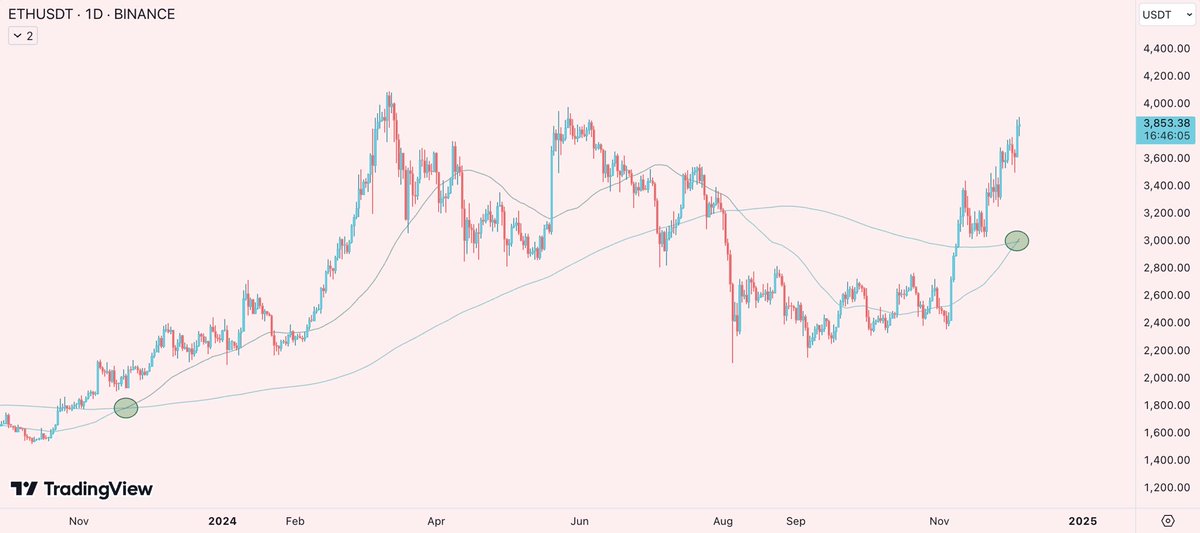 husbant, did you fade honey’s golden cross in a golden bull run?