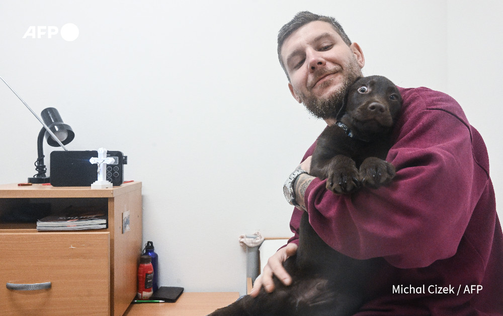 AFP News Agency tweet media