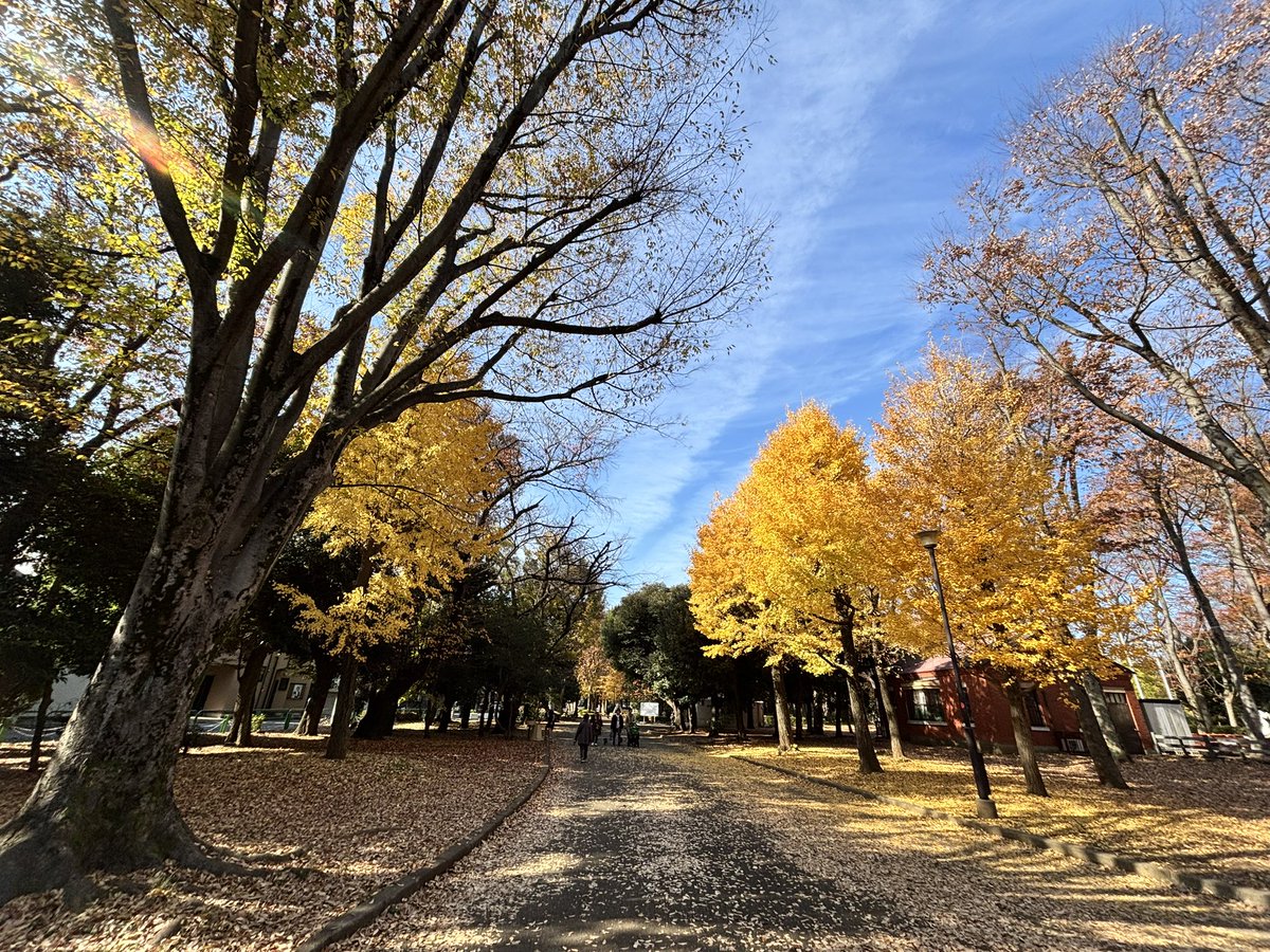 世田谷公園。