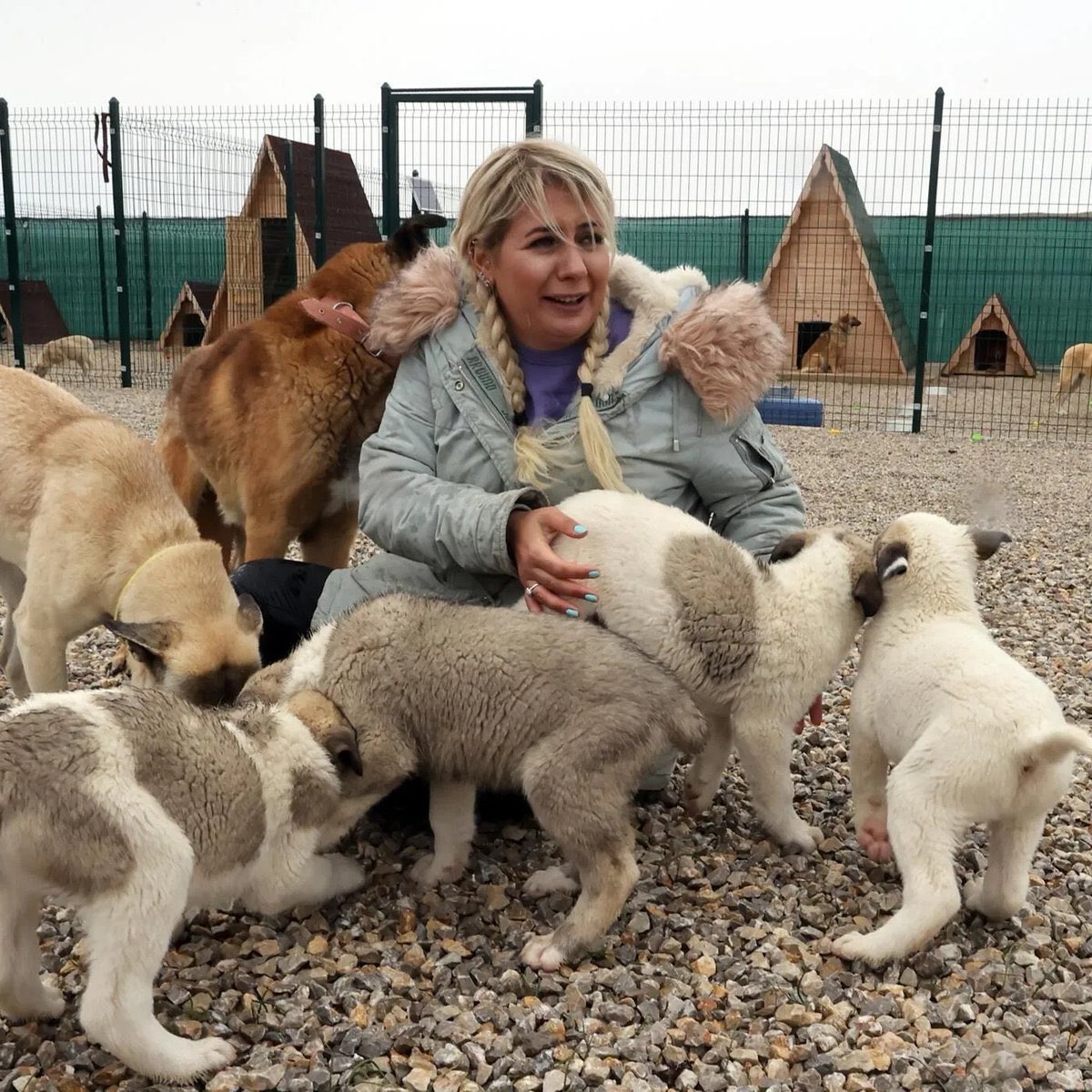Kamuyu 20 milyon TL zarara uğrattığı gerekçesiyle tutuklanan 'Köpek velisi' Buket Özgünlü'nün, topladığı bağışlarla yaptıkları:

• At yarışı bahsi
• 9 daire ve 2 depo alımı
• 7 estetik operasyonu
• Son 2 yılda 65 araç alım-satım

#Münbiç