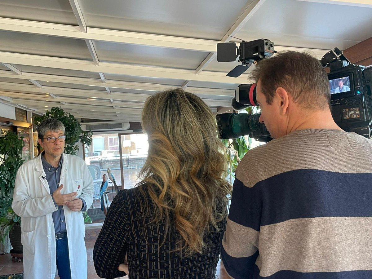 Red Humanizar Final de Vida y Soledad tweet media