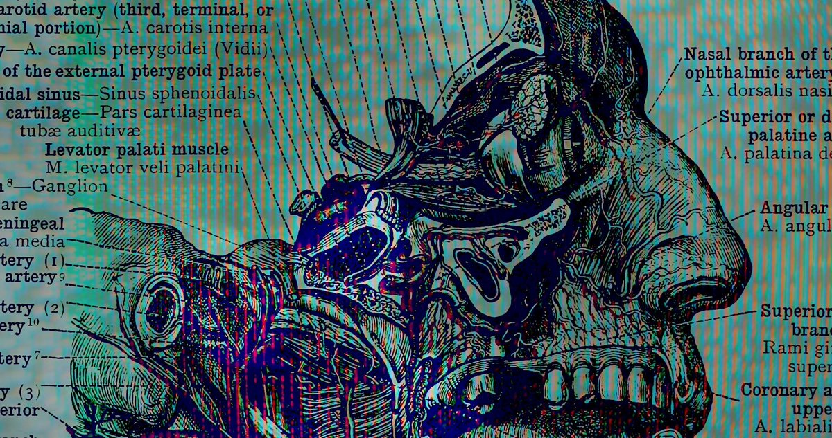 🎬 DIRECTOR Q&amp;A
🦠 GUT INSTINCT
⏰ Friday December 6th, 8:30pm

We’re thrilled to host a Director Q+A session of Doug Dillaman’s post-apocalyptic sci-fi GUT INSTINCT! Stick around for prizes and a talk on how this unique indie miracle came to be! 

🎟️ academycinemas.co.nz/movie/gut-inst…