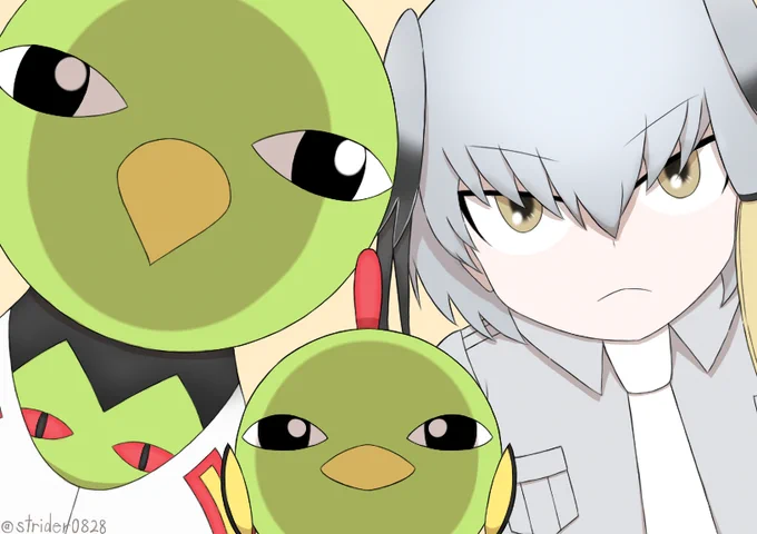 ジーッと凝視する鳥#ポケモン #けものフレンズ 