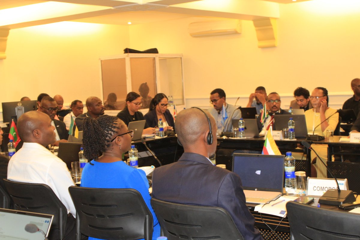 SWIOFC_News's tweet photo. The #SWIOFC Extraordinary Session opened yesterday in Dar es Salaam, 🇹🇿! Over the next 2 days, the focus will be on strengthening regional collaboration on fisheries research and management, and discussing key programmes like SWIOFish5, the #EAF-Nansen and SWIOFC-NC PP2. 🎣@sida. https://t.co/PACu2BS18f