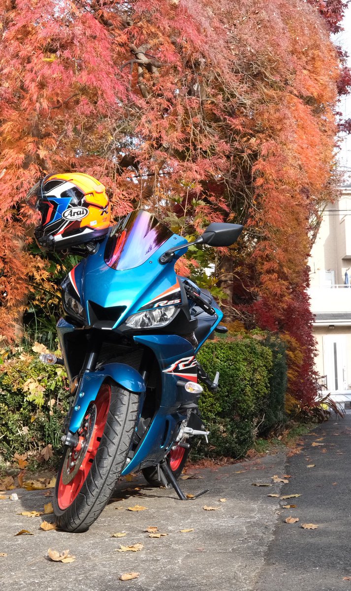 bikeryochan's tweet photo. 久々カメ活&近場ツーリング🏍️📷
紅葉綺麗だった✨
#fujifilmxt30
#yzfr25 https://t.co/y071xFhGQC