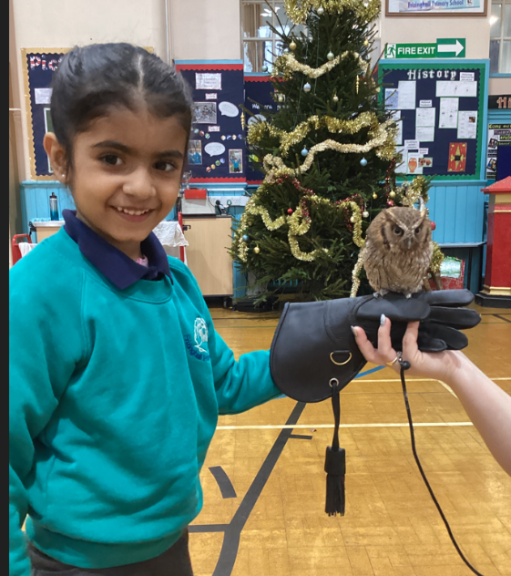 Frizinghall Primary School tweet media