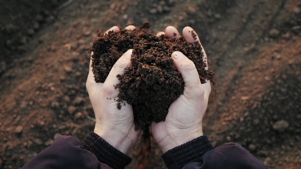 It's #WorldSoilDay. Healthy soil is the cornerstone of sustainable agriculture &amp; #biostimulants are an important solution to enhance soil health. By increasing plants' tolerance to abiotic stresses soils are protected from erosion &amp; degradation: intracrop.co.uk/biostimulants/