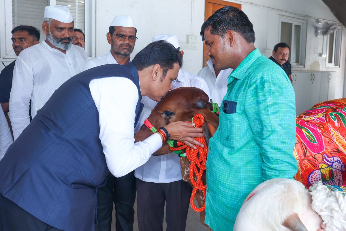 Dev_Fadnavis's tweet photo. || सर्वे देवा: स्थिता देहे सर्वदेवमयी हि गौ: || 🙏

शपथविधीपूर्वी 'राज्यमाता', सर्वदेवमयी गोमातांचे पूजन करून आशीर्वाद प्राप्त केले...

#Maharashtra #Mumbai #OathCeremony