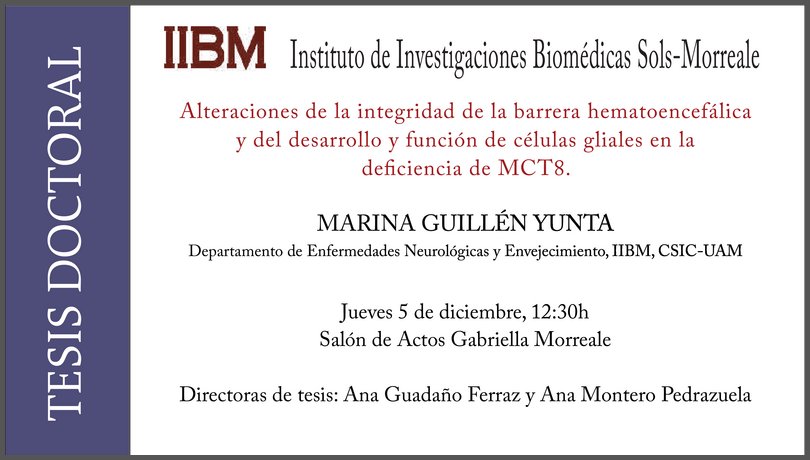 Thyroid Hormones and Central Nervous System tweet media