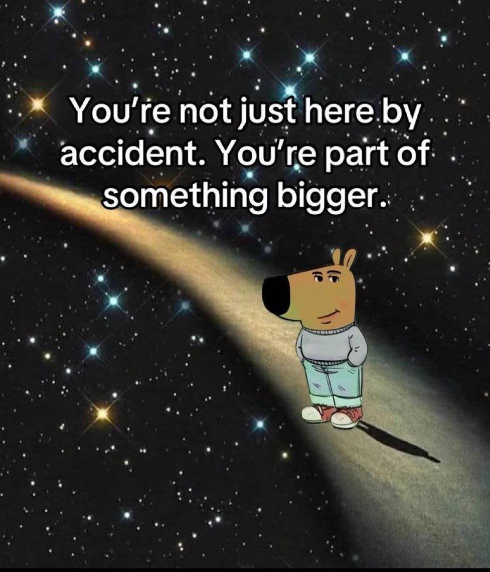 gandanisid's tweet image. New meme drop: the chill guy is here to remind you that sometimes the best response to chaos is just... vibing. 😎 #ChillVibes #MemeDrop