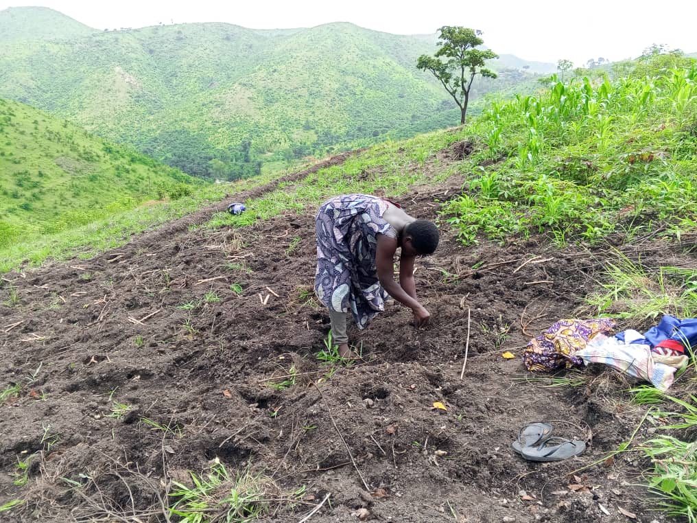 OfficielPSVS's tweet photo. Sur la colline de KARAGUZA dans le village de MUGOGO le traçage des courbes de niveau et la cartographie des collines se poursuivent sous la supervision du Chef de projet ainsi que le Superviseur de l'approche GIRE 
#TRide #SudKivu #Uvira #PSVSRDC https://t.co/GXX8bMI9Zh