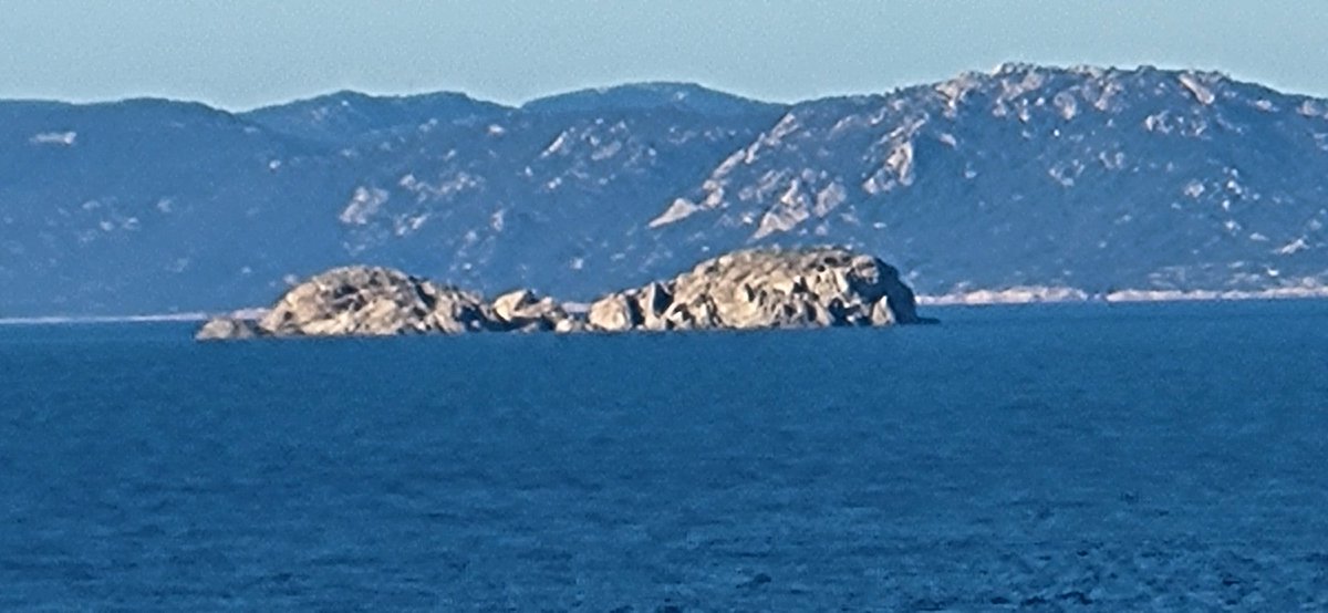 SAULIUlivieru's tweet image. À l'avvicinanza di Portivechju.
Qual'hè chi cunoscia sti isuletti ?
#Corsica
#Portivechju