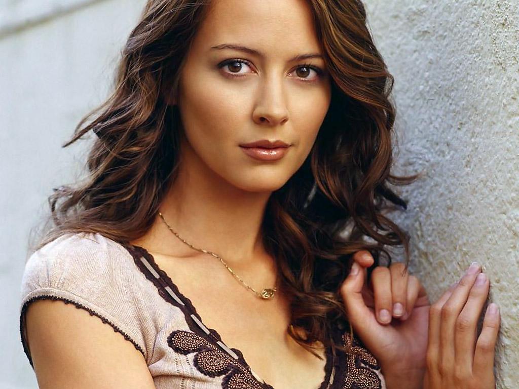 celebcrush4922's tweet photo. Happy Birthday Amy Acker @AmyAcker 🎂🌷
#HappyBirthday #Amy #Acker #AmyAcker #HappyBirthdayAmyAcker #HBDAmyAcker https://t.co/QNv11FrHPW