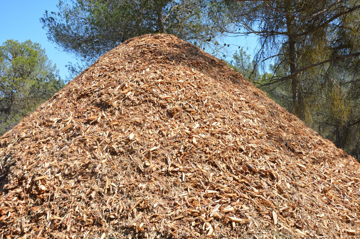 gosmartforestry's tweet photo. La biomasa, clave para la #EconomíaVerde 🌳🔋 Conocemos los recursos renovables para impulsar una #EconomíaBajaEnCarbono. #SmartForestry #GreenDeal
@JuntosxBosques
@industriambient https://t.co/ljqNHuhnDg