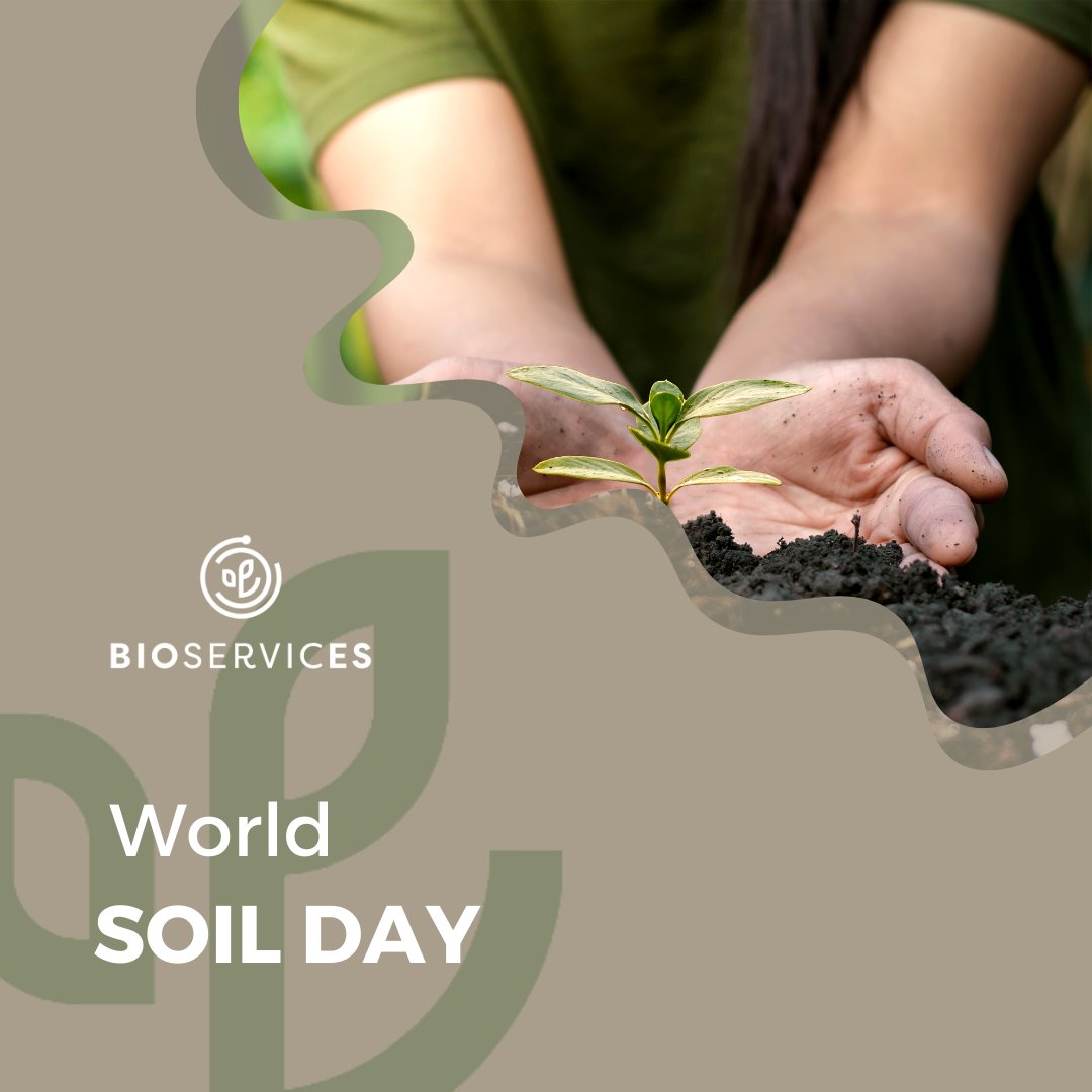 bioserviceseu's tweet photo. 🌱 Happy #WorldSoilDay!🌱
Today, we celebrate the incredible world beneath our feet and its vital role in our ecosystem!
🌍 Join us in nurturing our soils for a healthier planet!
🙌 Together, we can ensure sustainable ecosystems for future generations.
#BIOservicES #SoilHealth https://t.co/LGDssBhfkN