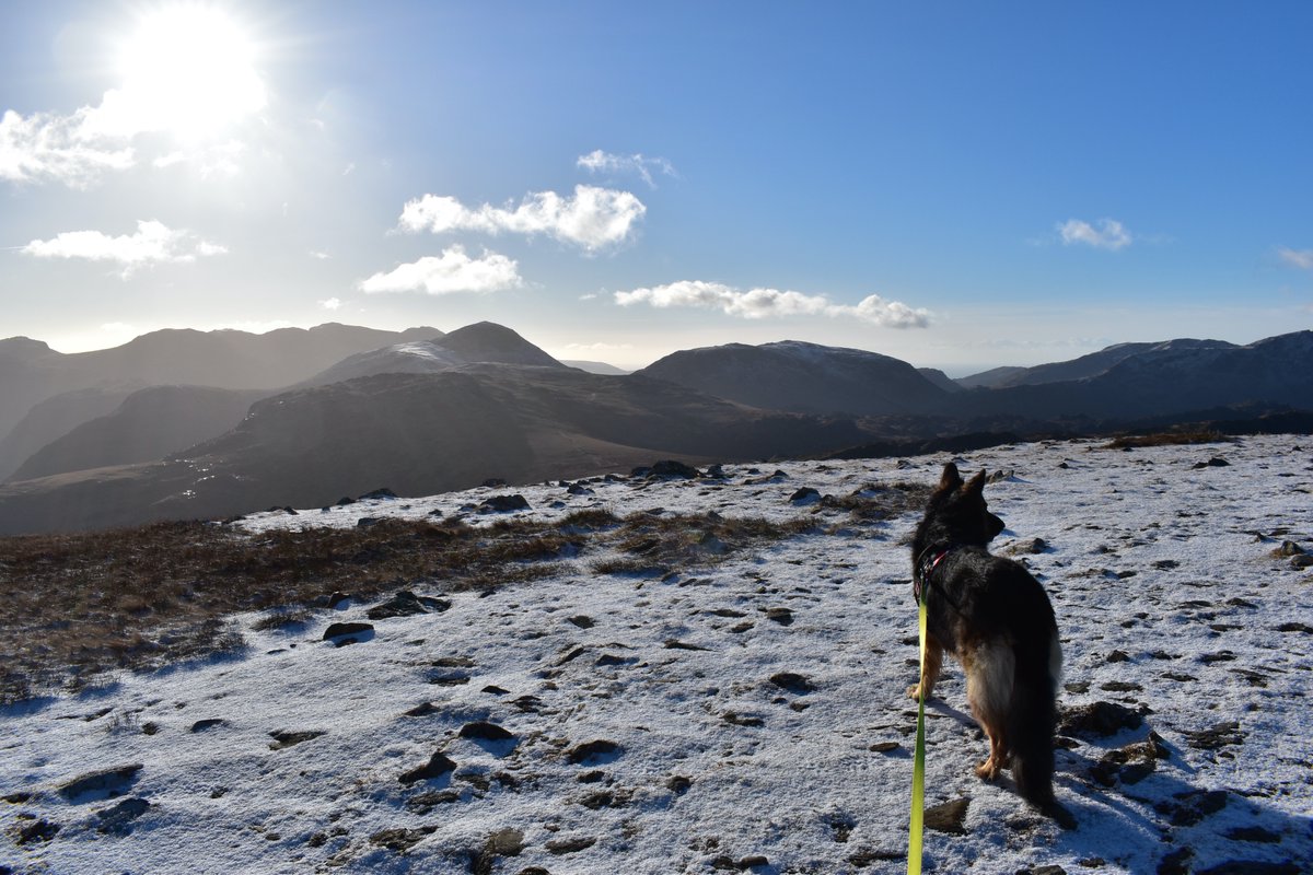 mini_guides's tweet photo. Calling all besties! Stuck for a last minute Christmas gift for your human? Get your paws on a Misty's Mini Guide to get your New Year's Lakeland adventures off to a flying start! Available from Amazon &amp; selected local stores! https://t.co/1NeF9EoWxs