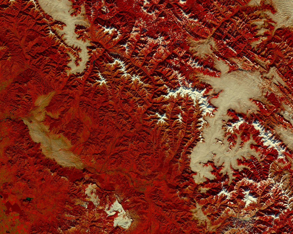 Thinking about #Ukraine today - this is a Sentinel-2 image of Transcarpathia, with snow on the mountains, clouds in the Rika and Upper Tisa valley and fog over parts of the Tisa floodplain. Tonemapped Natural Color script, hacked to NIR false color tinyurl.com/zakarpattianir 🕊️