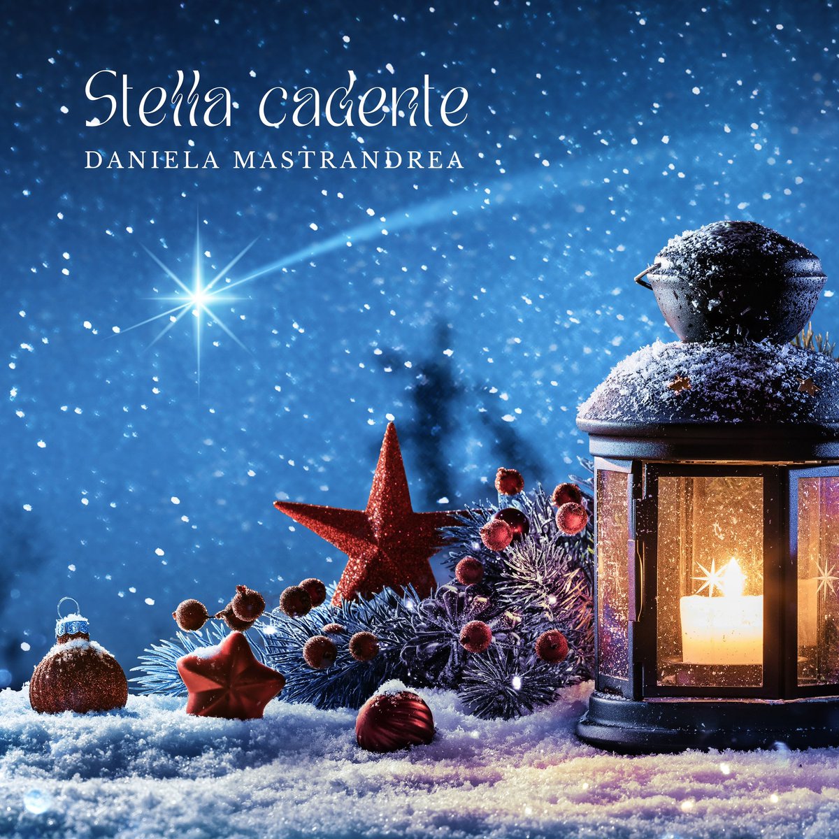 Quando meno ce lo aspettiamo, la vita ci sorprende donandoci qualcosa per cui essere grati. 

Tra poco è Natale e io vorrei condividere con te un brano al quale sono particolarmente legata.

20 dicembre 2024, Stella cadente 

Attiva il promemoria: shorturl.at/OLHpw