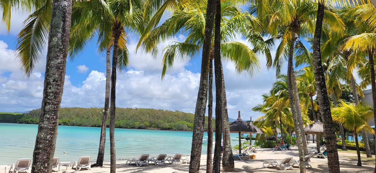 Patrick Mistretta tweet media