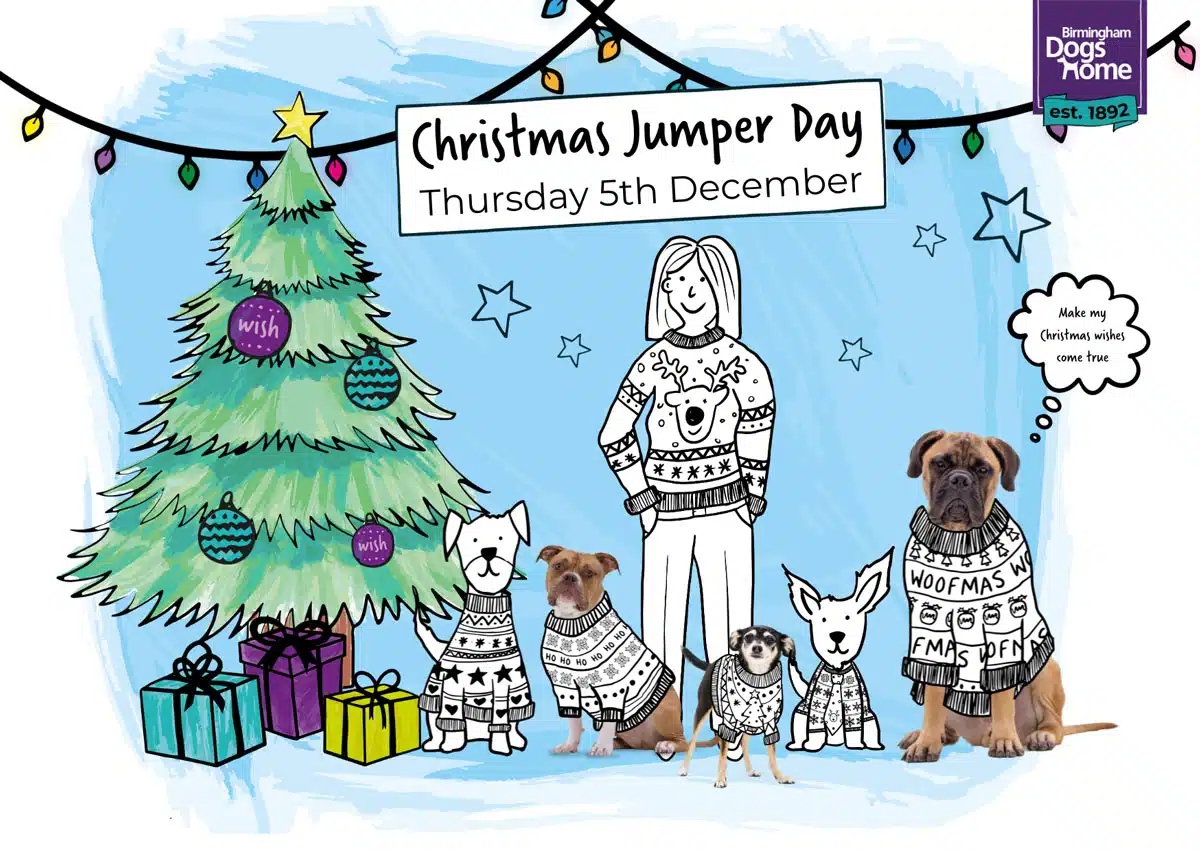 It's Christmas Jumper Day! 

Get your festive gear on and share your images with us! We cant wait to see you and your pups looking lovely on this fantastic fundraising day! 

#BirminghamDogsHome #ChristmasJumperDay