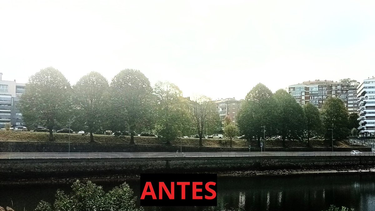 artiakolagunak's tweet photo. 📢Los #VientosHuracanados volcaron un #Tilo en el barrio de #Artia de #Irun y 98 #Tilos siguieron en pie.🪵¿Por qué taló @Irun_Informa lo que los #FuertesVientos no derrumbaron: 4 #Tilos erguidos, enteros y sanos⁉️
¿Cuántos #Árboles más talará hasta saciar su hambre #Arboricida⁉️ https://t.co/jqxO5xNj4A