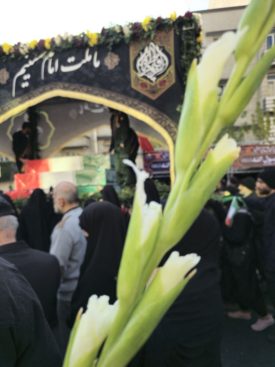 Hamed2013H's tweet photo. مراسم بدرقه ۱۰۰ شهید گمنام دفاع مقدس در سالروز شهادت حضرت زهرا (س) با حضور پرشور مردم تهران در حال برگزاری است.  
مردم با دل‌نوشته‌های خود نشان دادند که همچنان پای کار ولایت و انقلاب هستند.  

#سلام_مدافع_وطن  
#وداع_با_لاله_ها https://t.co/I28aIxvVLI