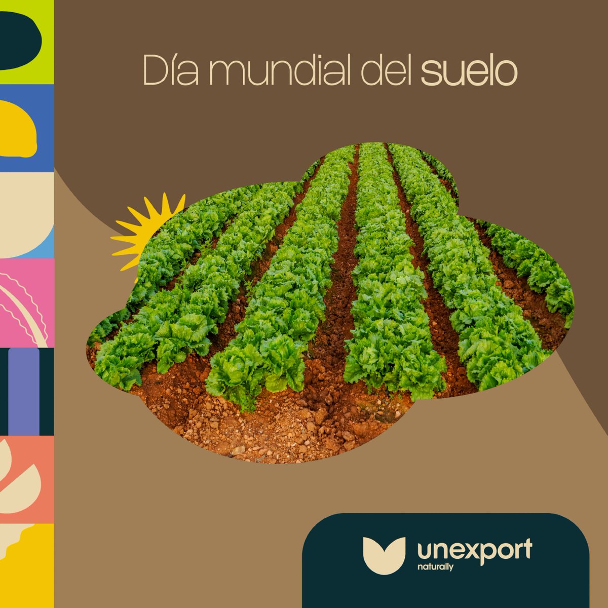 La agricultura, en su esencia, depende de la salud del suelo, por lo que promover prácticas que respeten y protejan este recurso es esencial para garantizar un impacto positivo en el medio ambiente 🌿

#DíaMundialDelSuelo #Unexport