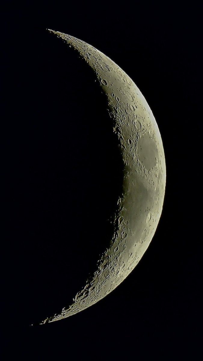 zeta_orionis3's tweet photo. 今宵の月🌙
今日は地球照がきれいに見えます✨
(写真には写っていません😅)
#イマツキ #SC001 https://t.co/bOrn17spsU