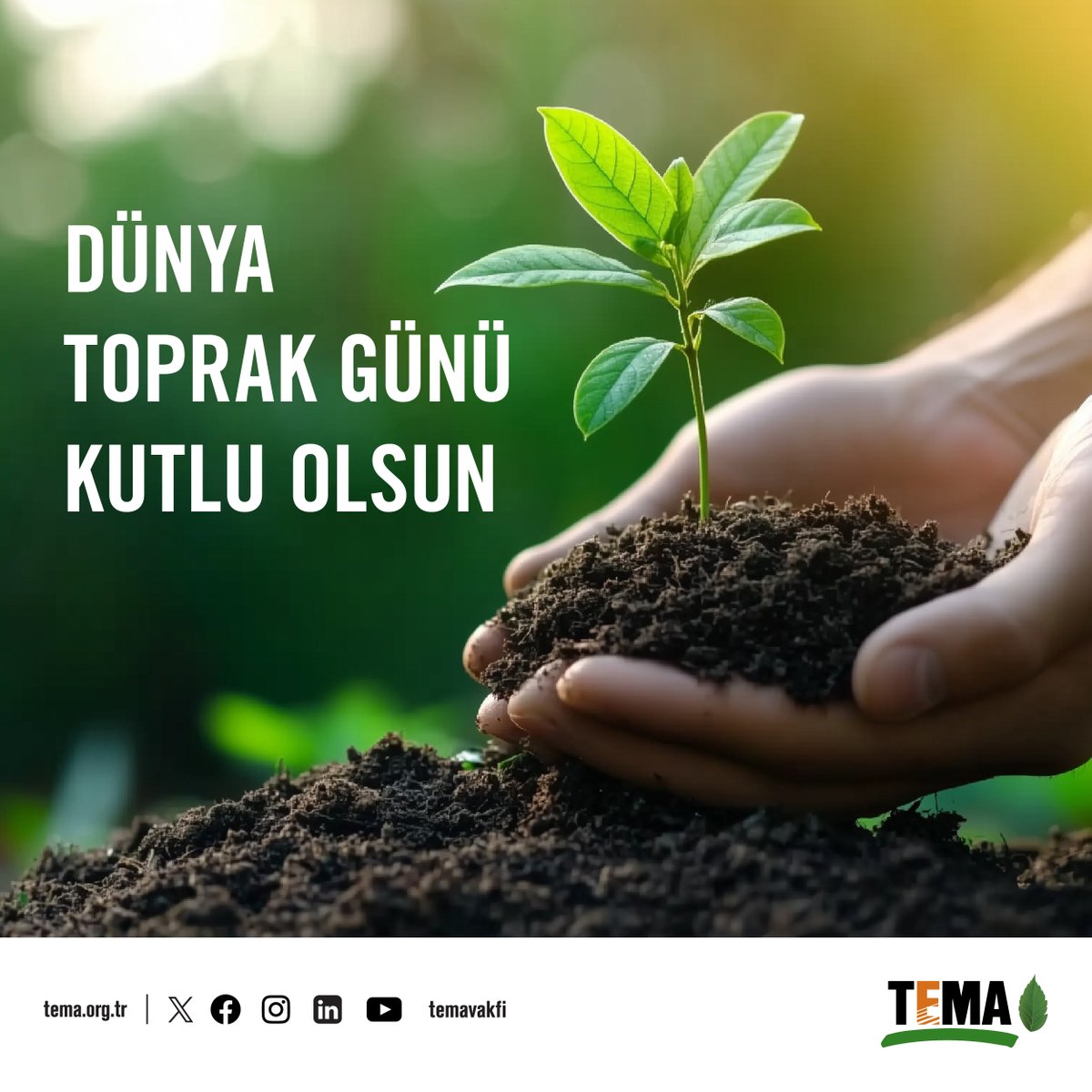 temavakfi's tweet photo. 🌍 Dünya Toprak Günü’nün bu yılki teması "Toprağa Özen Göster: Ölç, İzle, Yönet!"  🌱

Yaşamsal öneme sahip toprağın izlerini sadece gıdamızda değil, aldığımız her nefeste, içtiğimiz suda görüyoruz. Okyanuslardan sonra en büyük karbon stoku olan  ve iklimi düzenleyen toprak, biyolojik çeşitliliğin %25’ine ev sahipliği yapıyor.

❗ Ancak, Dünya genelinde her yıl 75 milyar ton toprak erozyona uğruyor. Yani, her 5 saniyede 1 futbol sahası büyüklüğünde toprak kaybediyoruz. Tarım arazileri erozyon, yanlış kullanım ve kentleşme sebebiyle hızla azalıyor.

Sağlıklı bir gelecek için toprağımızı bilgiyle yönetmeli, korumalı ve toprağın bereketini gelecek nesillere aktarmalıyız 💚

#DünyaToprakGünü