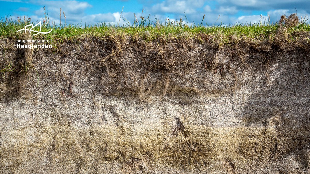Op 5 december is het niet alleen pakjesavond... Het is ook #WereldBodemDag! 🌍 Samen zorgen we ervoor dat de #bodem schoon blijft – een cadeau voor nu én de toekomst. 🌱 Ben je benieuwd naar hoe wij werken aan een #GezondeBodem? omgevingsdiensthaaglanden.nl/werken-bij/
#debeterewereldbaan