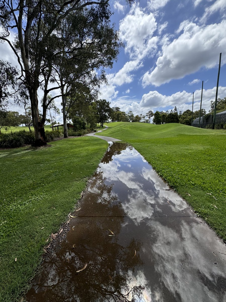 A walk in the tropics 😁
#urbanwetlands