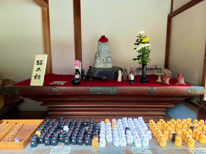 吉野山の看板動物といえば、「わかの店」店長、柴犬のわかちゃんも可愛かったなぁそして如意輪寺にも猫ちゃんがいました!(如意輪寺には猫不動さまもおられるので、猫好きさんにもオススメです) 