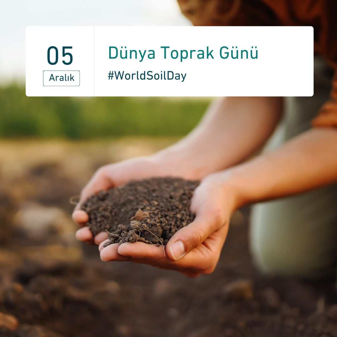 3pmetrics's tweet photo. 🌱 Toprak, tarımı, biyoçeşitliliği ve iklim değişikliğine uyumu destekleyen yaşamın temelidir. Birlikte, daha yeşil bir gelecek için topraklarımızı koruyalım. Siz de yarattığınız çevresel etkiyi anlamak ve azaltmak için adım atın. #dünyatoprakgünü #sürdürülebilirlik #worldsoilday https://t.co/PnDUcPLtDc